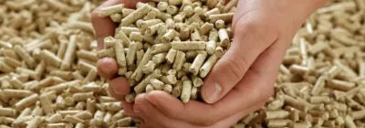 Pelletizing Systems